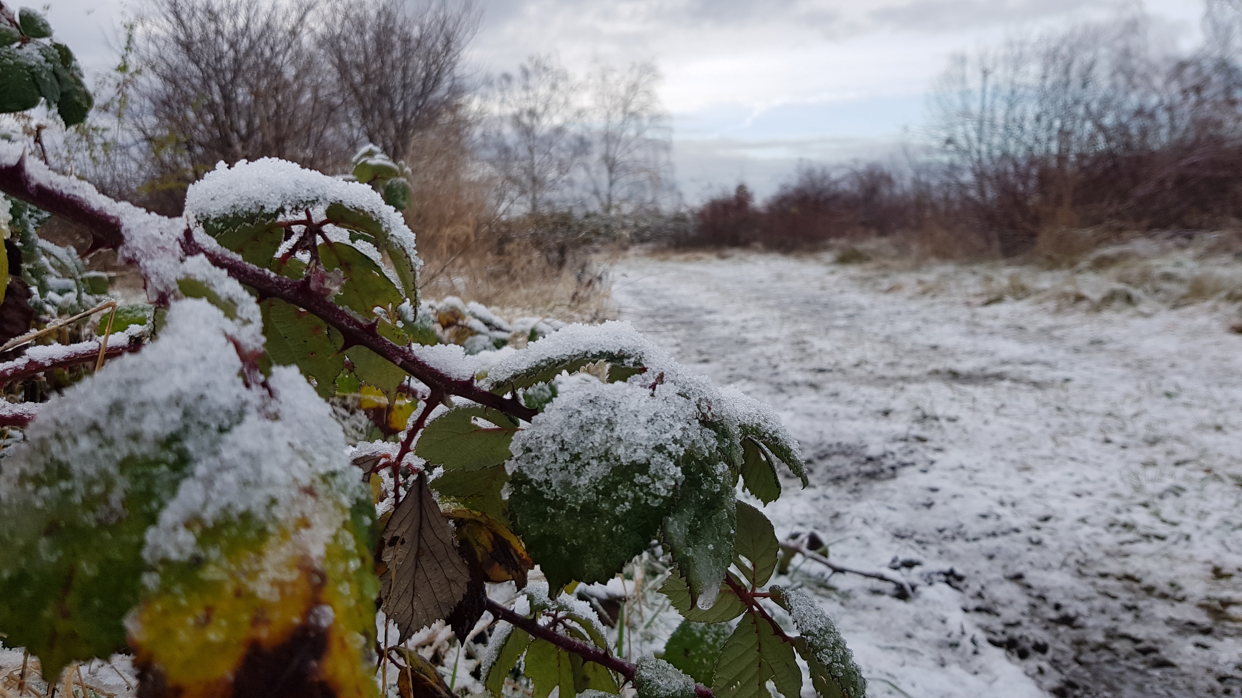 2025 08 Koffer im Vorgarten
